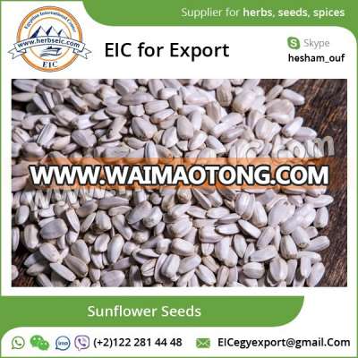 Sunflower Seed Market Competitive Price l Wholesale Sunflower Seeds l ISO 22000:2005 Factory Certified l Egypt Origin