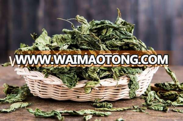 Bulk Whole Molokhia leaves dried ISO 22000 factory certified Egypt origin