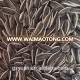 Wholesale new crop sunflower seeds 363